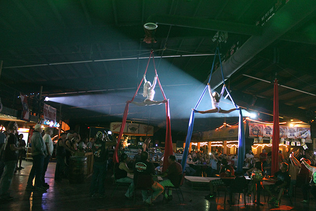 Aerialist Show